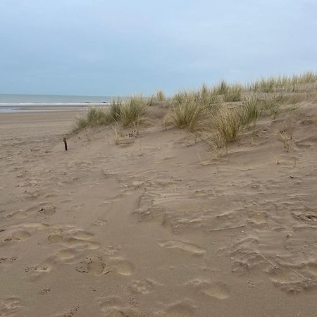 Centraal Gelegen Gezellig Verblijf Met Groot Terras Oostende Ngoại thất bức ảnh